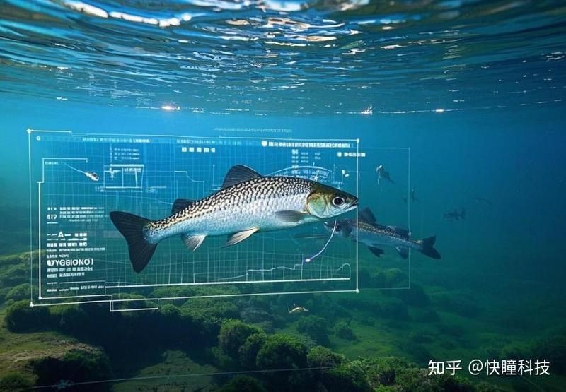 海魚識別掃一掃，手機掃碼秒識海魚，一鍵解鎖海洋 海魚識別掃一掃，手機掃碼秒識海魚，一鍵解鎖海洋 龍魚論壇 第2張