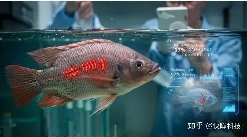 海魚識別掃一掃，手機掃碼秒識海魚，一鍵解鎖海洋 海魚識別掃一掃，手機掃碼秒識海魚，一鍵解鎖海洋 龍魚論壇 第6張