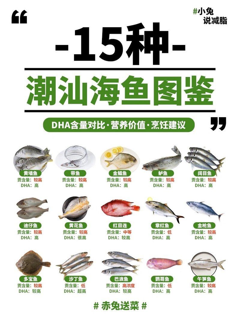 海魚識別掃一掃，手機掃碼秒識海魚，一鍵解鎖海洋 海魚識別掃一掃，手機掃碼秒識海魚，一鍵解鎖海洋 龍魚論壇 第4張