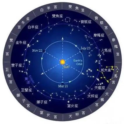 養(yǎng)金龍魚的風(fēng)水講究，揭秘！養(yǎng)金龍魚的風(fēng)水講究與禁忌，助