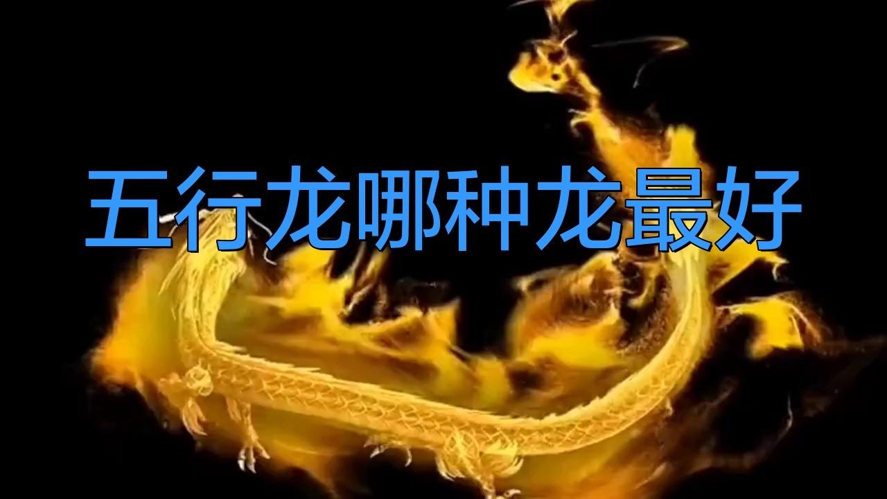 五行龍哪種龍最好，五行龍屬性深度解析，究竟哪種龍才是
