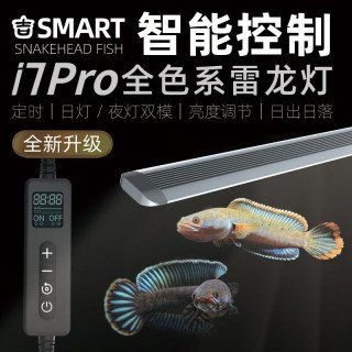 吉印水族箱照明燈，吉印水族箱專用LED照明燈