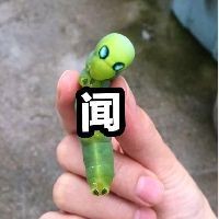 巨骨舌魚盲盒，驚喜開箱巨骨舌魚盲盒，解鎖神秘水