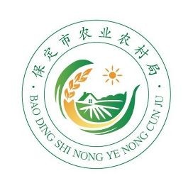 建鯉是鯉魚還是鯉魚，深度解析，建鯉到底是不是傳統(tǒng)意義上的鯉魚