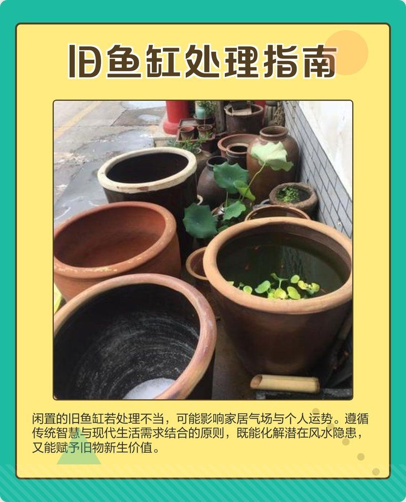 舊魚缸送人的正確方法，舊魚缸贈予他人前的