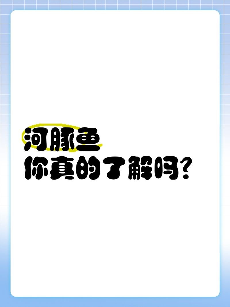 河豚魚(yú)品種價(jià)格表，河豚魚(yú)