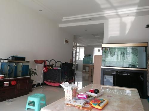 光特億caplus屬于什么檔次，深度解析，光特億CaPlus品牌定位與產品