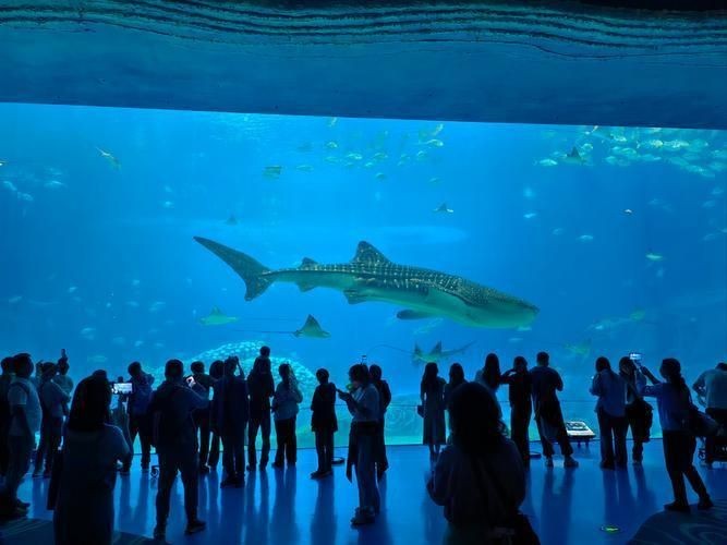 海洋館必帶10件物品，親子游必備逛海洋館必帶的10件實用物品