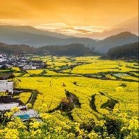 吉隆坡旅游景點,吉隆坡旅游景點必去推薦,探索城市精華 全國水族館企業名錄 第2張 吉隆坡旅游景點,吉隆坡旅游景點必去推薦,探索城市精華 吉隆坡旅游景點,吉隆坡旅游景點必去推薦,探索城市精華 全國水族館企業名錄 第2張