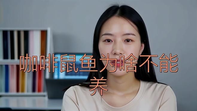 咖啡鼠為什么不建議養，揭秘咖啡鼠，這些隱藏風險讓你不敢輕易飼養！