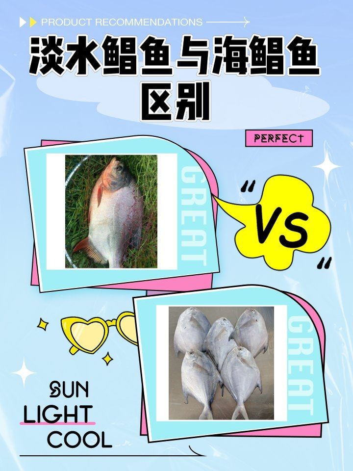 海鯧魚是海魚還是淡水魚，深度解析，海鯧魚究竟是海魚還是淡水魚？ 海鯧魚是海魚還是淡水魚，深度解析，海鯧魚究竟是海魚還是淡水魚？ 龍魚論壇 第3張