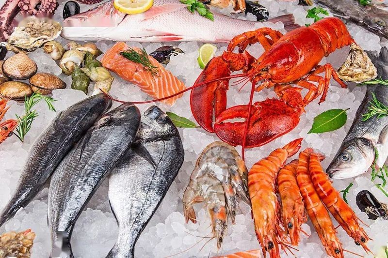 國外的觀賞魚怎么進口到國內，如何將國外觀賞魚合法進口至