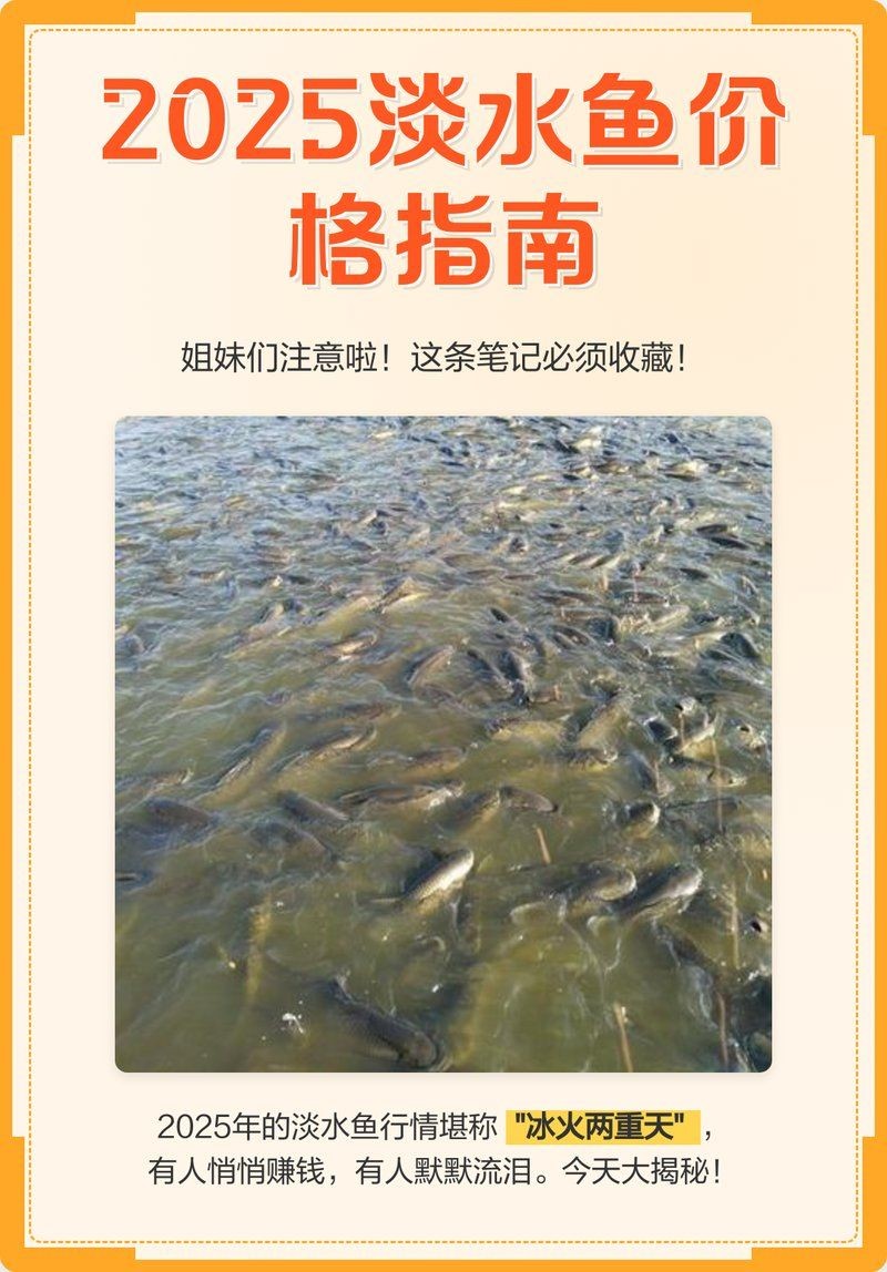 今天2一3斤草魚價(jià)格，今日2-3斤草魚