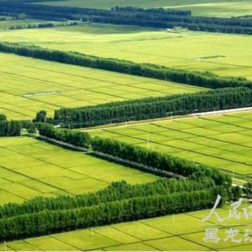 建三江十五個農場地圖，建三江轄區十五個農場 建三江十五個農場地圖，建三江轄區十五個農場 龍魚論壇 第1張