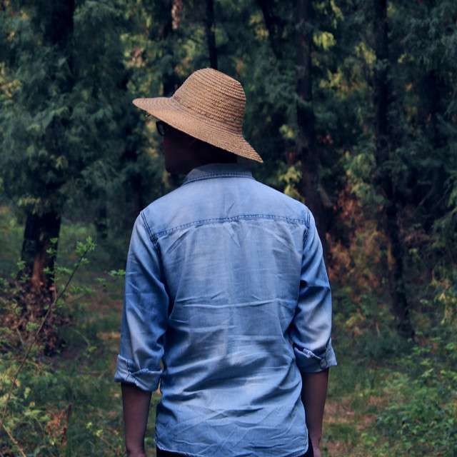 軍魚為何不能隨便吃，揭秘軍魚背后的食用禁忌，為何不能