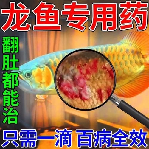 紅龍蒙眼最怕三個東西圖片，揭秘紅龍蒙眼最懼怕