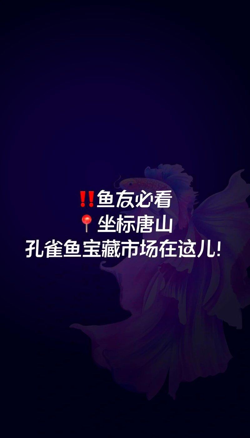 唐山水族批發(fā)市場(chǎng)，探秘唐山