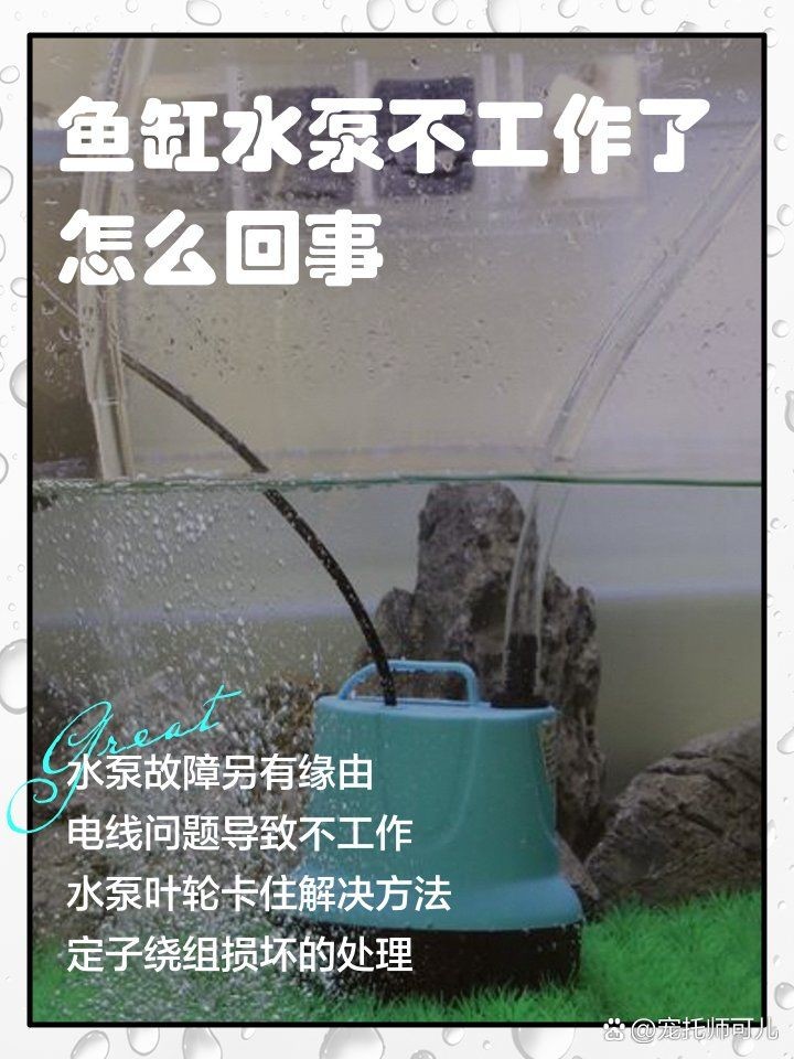 吉印魚缸潛水泵的常見故障與維修方法，吉印魚缸潛水泵故障排查與維修處理全攻略