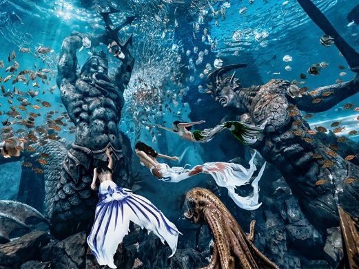哈爾濱水族館，探秘冰城奇境·哈爾濱水
