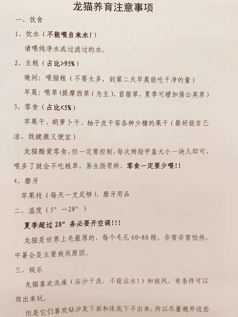 養龍貓的10個忠告，新手必知！養龍貓的