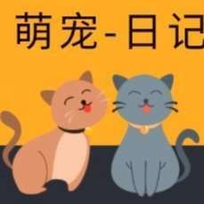 養龍貓的10個忠告，新手必知！養龍貓的