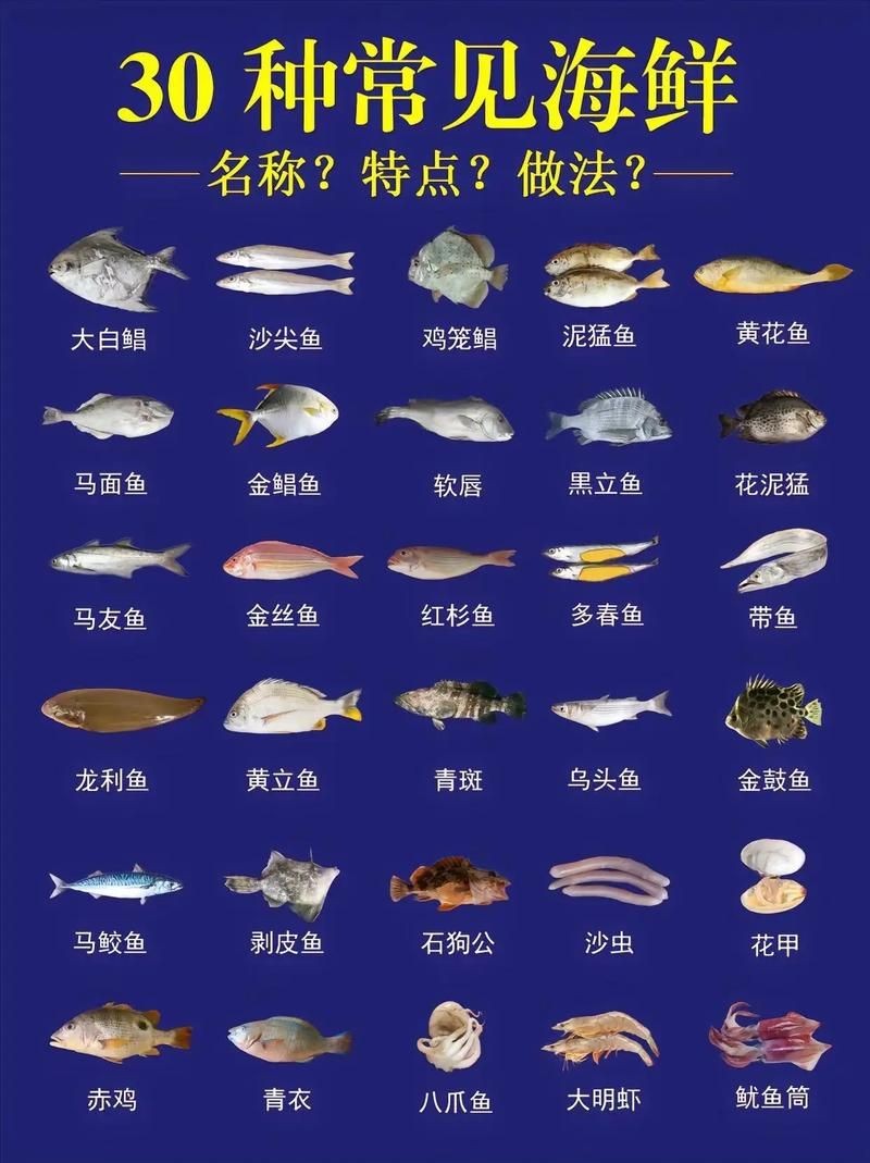 海魚品種圖片，高清海魚品種大全，珍稀海洋魚類