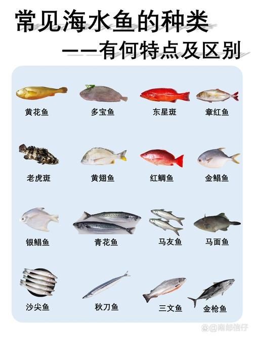 海魚品種圖片，高清海魚品種大全，珍稀海洋魚類