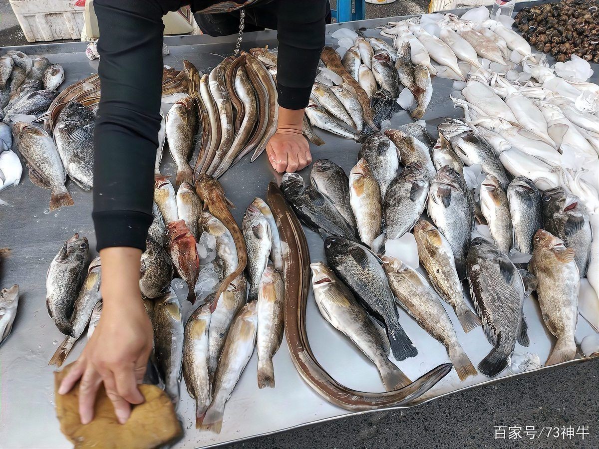 海魚品種圖片，高清海魚品種大全，珍稀海洋魚類