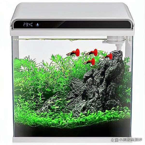 九鼎魚(yú)缸最建議買的三個(gè)型號(hào)，??九鼎魚(yú)缸閉眼入指南｜這