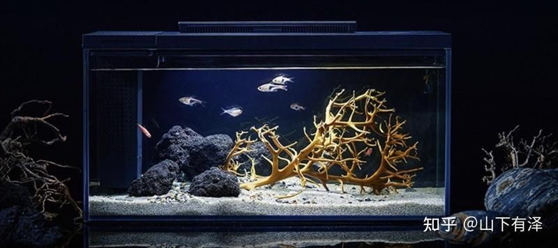 九鼎魚(yú)缸最建議買的三個(gè)型號(hào)，??九鼎魚(yú)缸閉眼入指南｜這