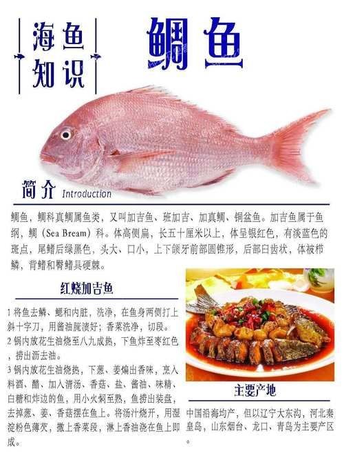 海魚類圖片，高清海洋魚類圖片大全，探索多彩水下世界的