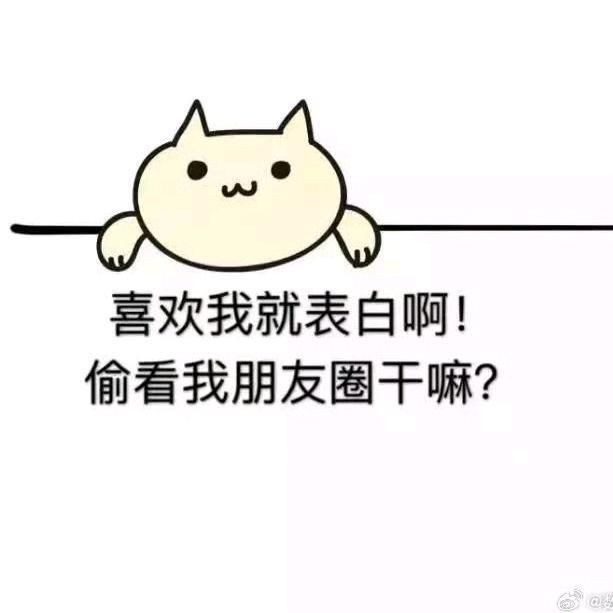 海象魚，探秘海洋奇觀，海象魚的奇妙生態(tài)與生存