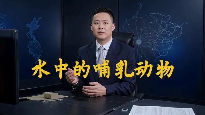 海洋的哺乳動物有哪些，揭秘海洋哺乳家族，從鯨豚到海豹的生存密碼