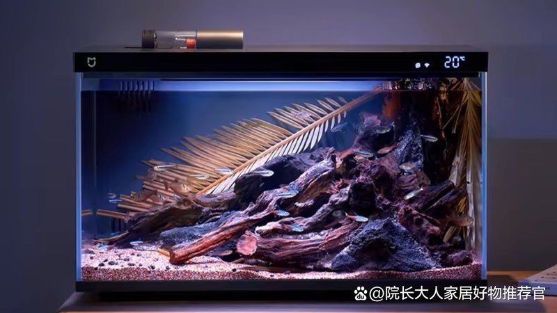 六安魚缸批發市場，六安專業魚缸批發市場一站式 六安魚缸批發市場，六安專業魚缸批發市場一站式 全國水族館企業名錄 第2張