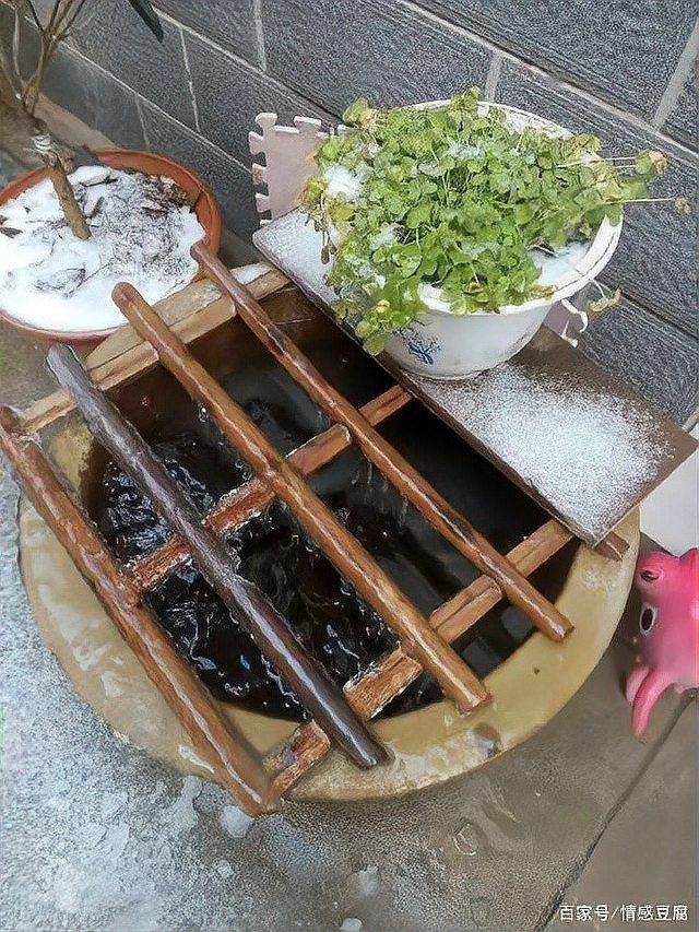 古法養魚一年不換水行嗎，揭秘古法養魚，真能實現全年免換水的生態奇跡