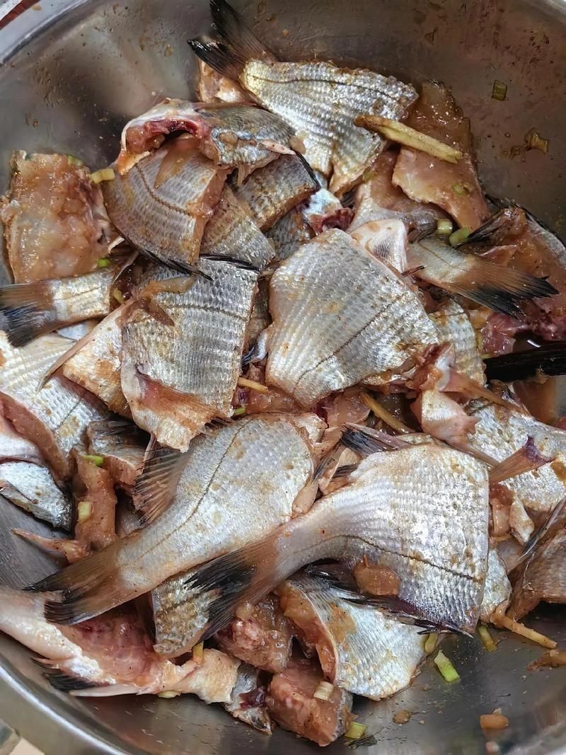 海浮魚圖片，高清海浮魚圖片大全，水下精靈的絕美身