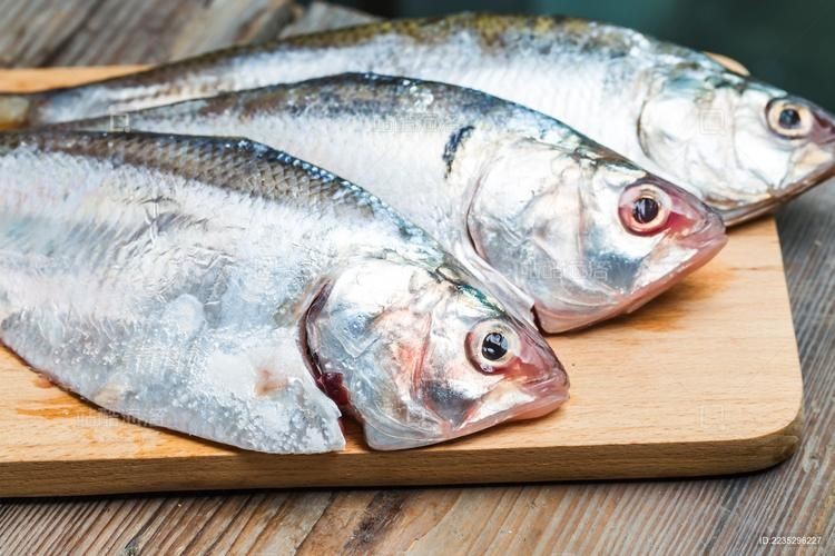 海浮魚圖片，高清海浮魚圖片大全，水下精靈的絕美身