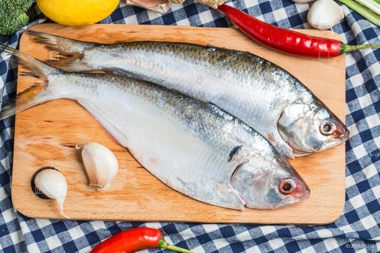 海浮魚圖片，高清海浮魚圖片大全，水下精靈的絕美身