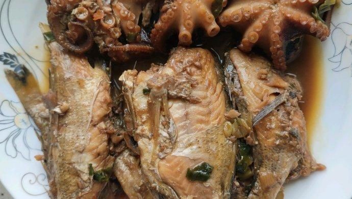 海浮魚圖片，高清海浮魚圖片大全，水下精靈的絕美身