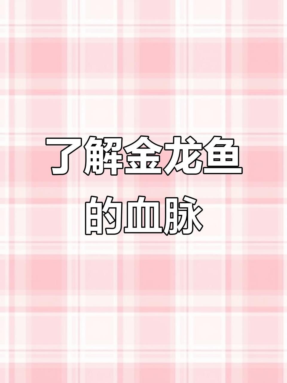 過背金龍魚又分為哪幾種，過背金龍魚品種分類全解析