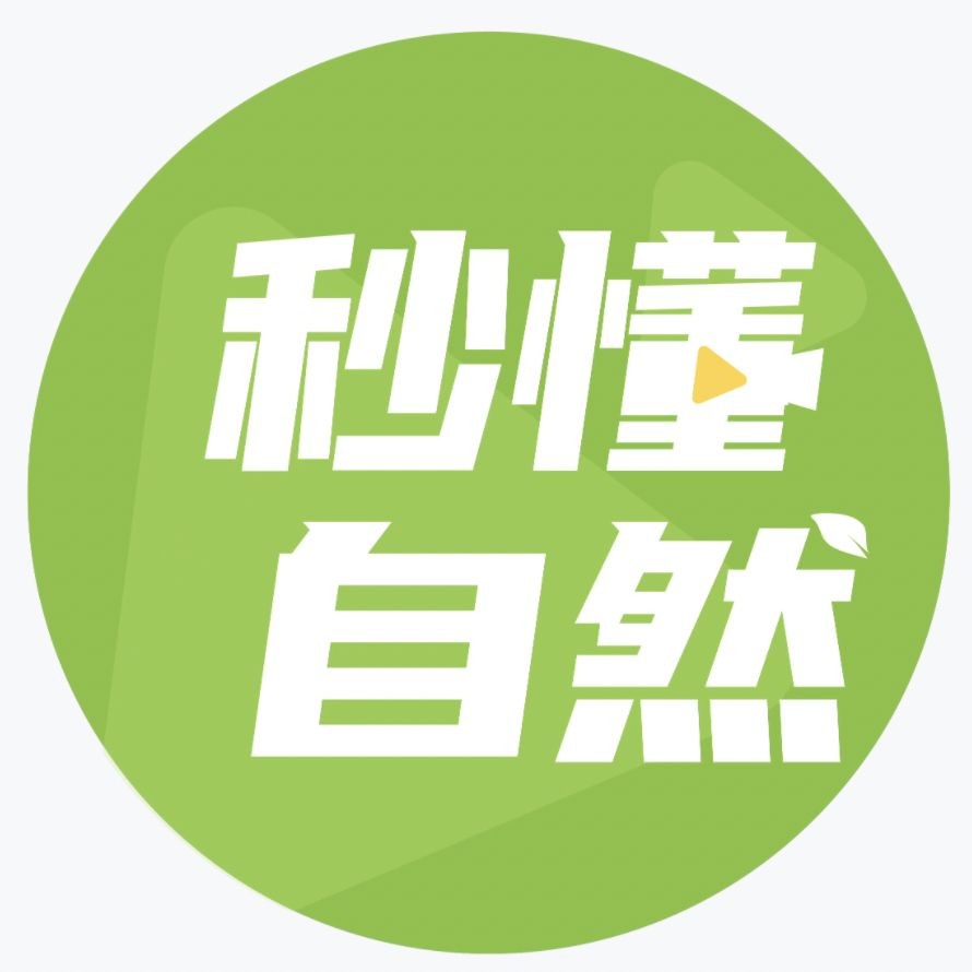 過背金龍魚又分為哪幾種，過背金龍魚品種分類全解析