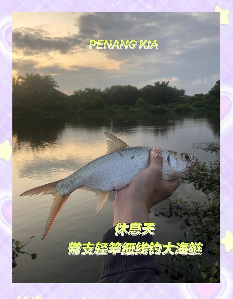 海鰱用什么假餌效果好,實戰解析,海鰱爆釣必備的高效 龍魚論壇 第1張 海鰱用什么假餌效果好,實戰解析,海鰱爆釣必備的高效 海鰱用什么假餌效果好,實戰解析,海鰱爆釣必備的高效 龍魚論壇 第1張