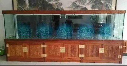 臨沂魚缸定做，臨沂專業魚缸定做按需設計·品質保障·廠家直