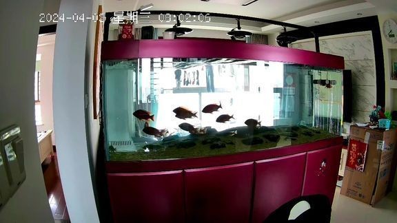 久鼎魚缸價格表2023年，2023年久鼎魚缸最新報價清單及價格