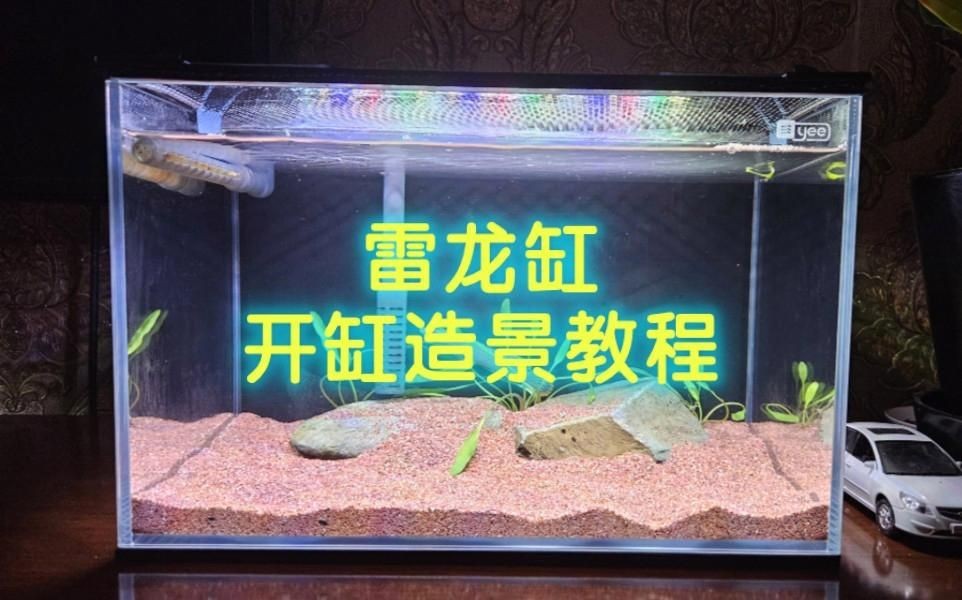 酒紅雷龍魚底砂怎么選，酒紅雷龍魚飼養(yǎng)必備，優(yōu)質(zhì)底砂挑選全