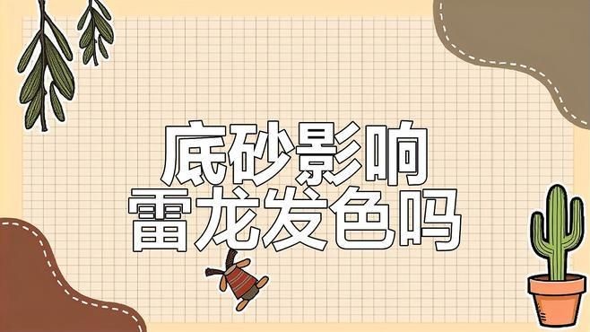 酒紅雷龍魚底砂怎么選，酒紅雷龍魚飼養(yǎng)必備，優(yōu)質(zhì)底砂挑選全