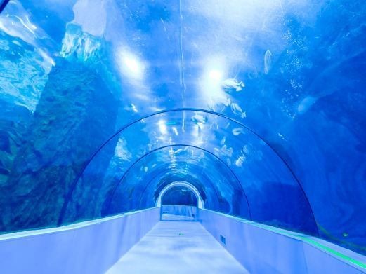 臺州水族館，探秘臺州水族館，