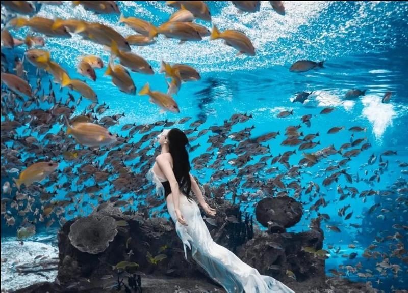 臺州水族館，探秘臺州水族館，