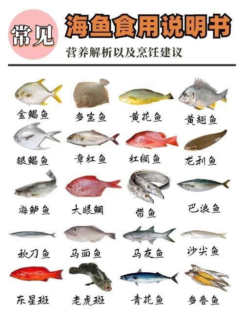 海魚圖片大全，高清海魚圖片大全，