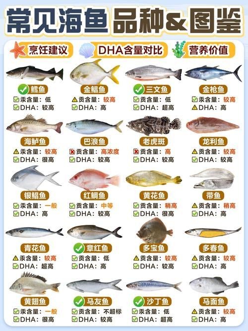 海魚圖片大全，高清海魚圖片大全，